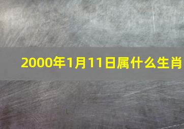 2000年1月11日属什么生肖