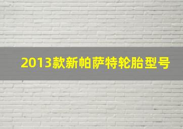 2013款新帕萨特轮胎型号