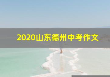 2020山东德州中考作文