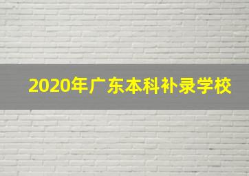 2020年广东本科补录学校