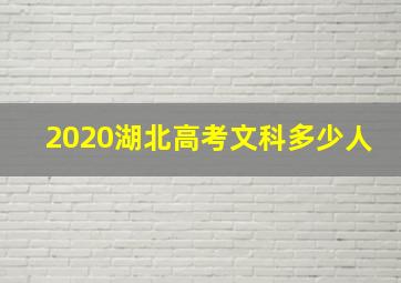 2020湖北高考文科多少人