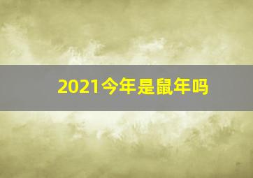 2021今年是鼠年吗