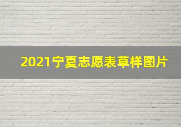 2021宁夏志愿表草样图片