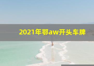 2021年鄂aw开头车牌