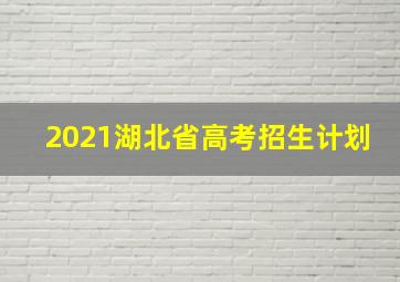 2021湖北省高考招生计划