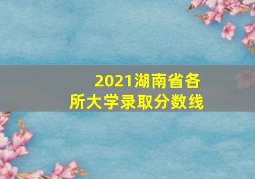 2021湖南省各所大学录取分数线