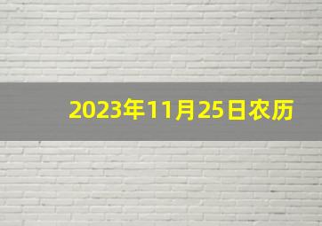 2023年11月25日农历