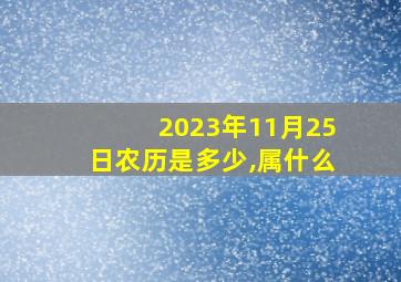 2023年11月25日农历是多少,属什么