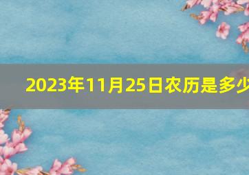 2023年11月25日农历是多少