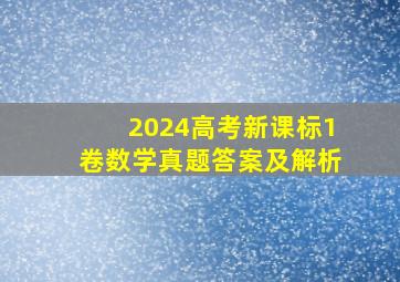 2024高考新课标1卷数学真题答案及解析