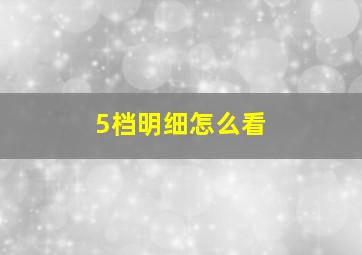 5档明细怎么看