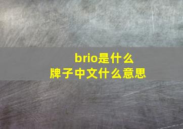 brio是什么牌子中文什么意思