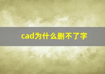 cad为什么删不了字