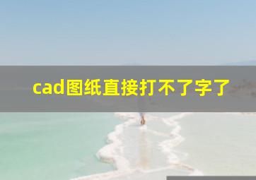 cad图纸直接打不了字了