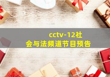 cctv-12社会与法频道节目预告