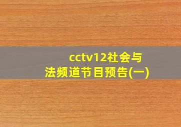 cctv12社会与法频道节目预告(一)