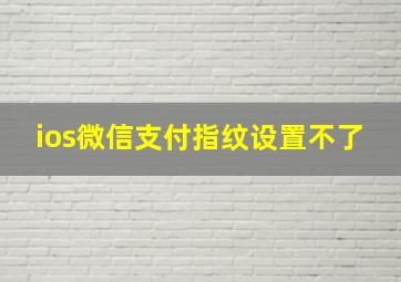 ios微信支付指纹设置不了