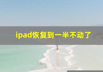 ipad恢复到一半不动了