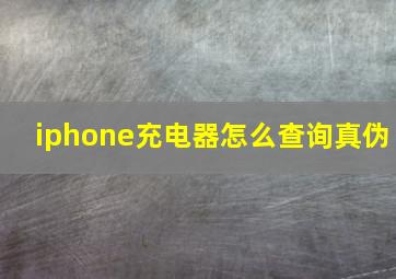 iphone充电器怎么查询真伪