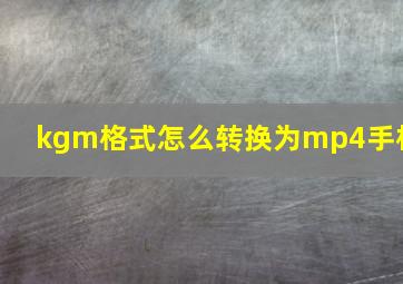 kgm格式怎么转换为mp4手机