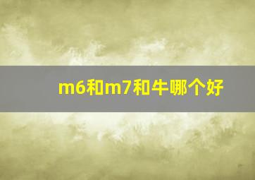 m6和m7和牛哪个好