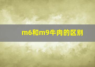 m6和m9牛肉的区别