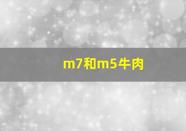 m7和m5牛肉