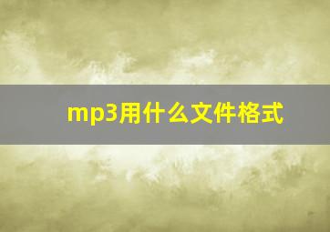 mp3用什么文件格式