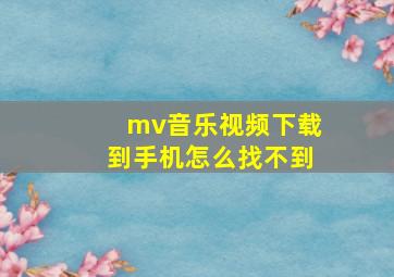 mv音乐视频下载到手机怎么找不到