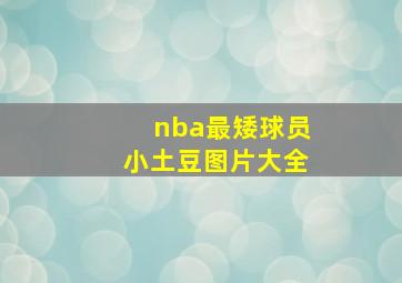 nba最矮球员小土豆图片大全