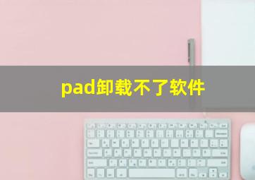 pad卸载不了软件