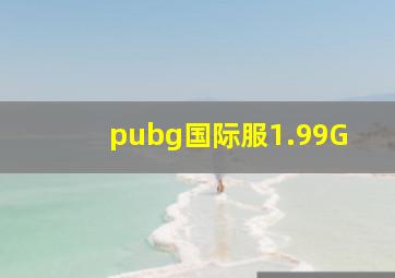 pubg国际服1.99G