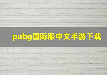 pubg国际服中文手游下载