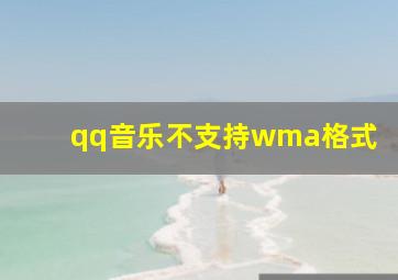 qq音乐不支持wma格式