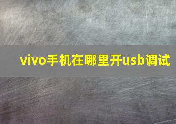 vivo手机在哪里开usb调试