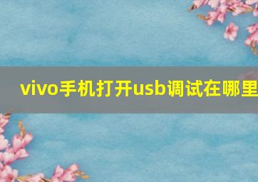 vivo手机打开usb调试在哪里