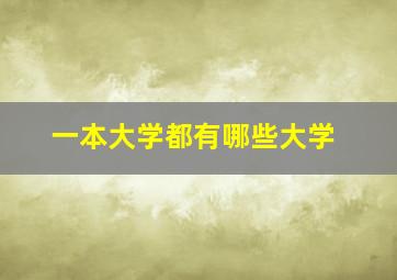 一本大学都有哪些大学