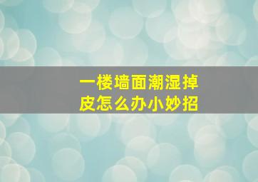 一楼墙面潮湿掉皮怎么办小妙招