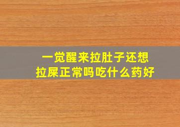 一觉醒来拉肚子还想拉屎正常吗吃什么药好