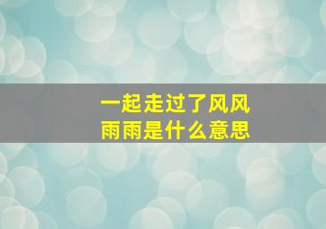 一起走过了风风雨雨是什么意思