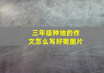 三年级种地的作文怎么写好呢图片