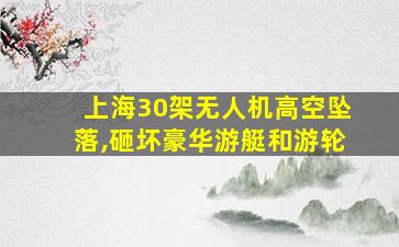 上海30架无人机高空坠落,砸坏豪华游艇和游轮