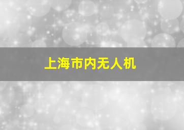 上海市内无人机