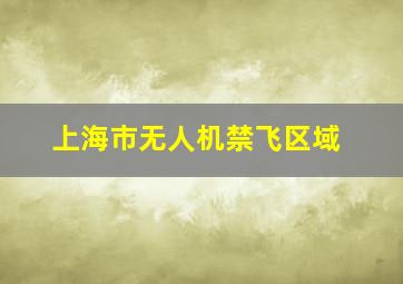 上海市无人机禁飞区域