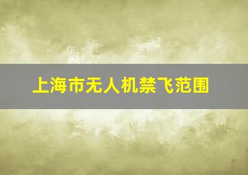 上海市无人机禁飞范围