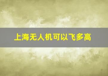 上海无人机可以飞多高