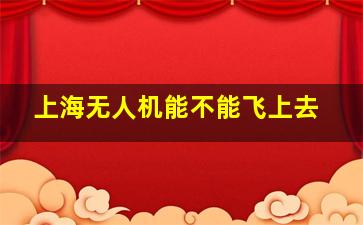 上海无人机能不能飞上去