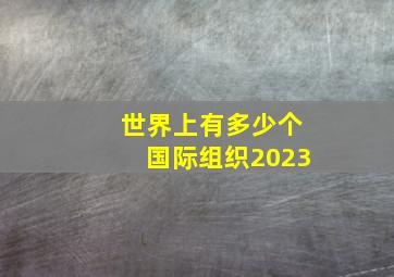 世界上有多少个国际组织2023