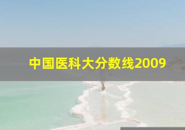 中国医科大分数线2009