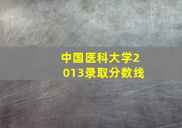 中国医科大学2013录取分数线